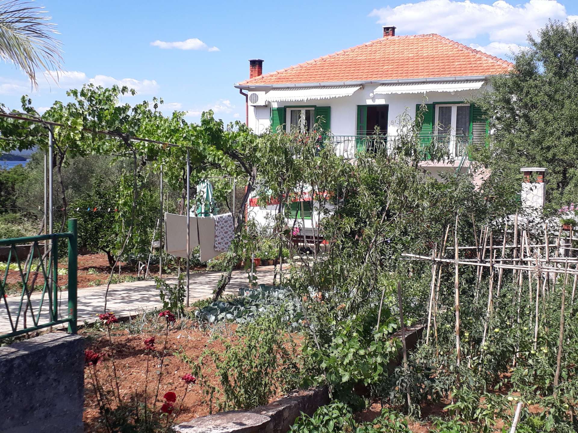 Apartmani Mira